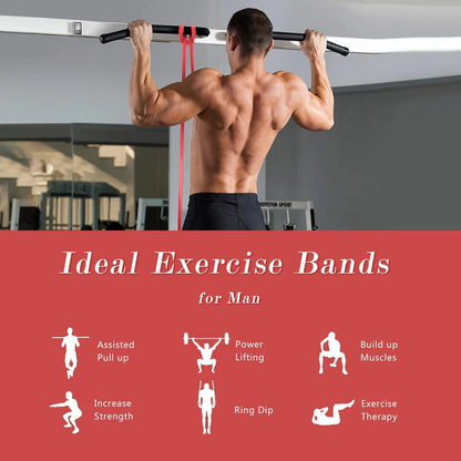 Elite - Trainer Belt + Band + Reaction Ball + Massage Ball